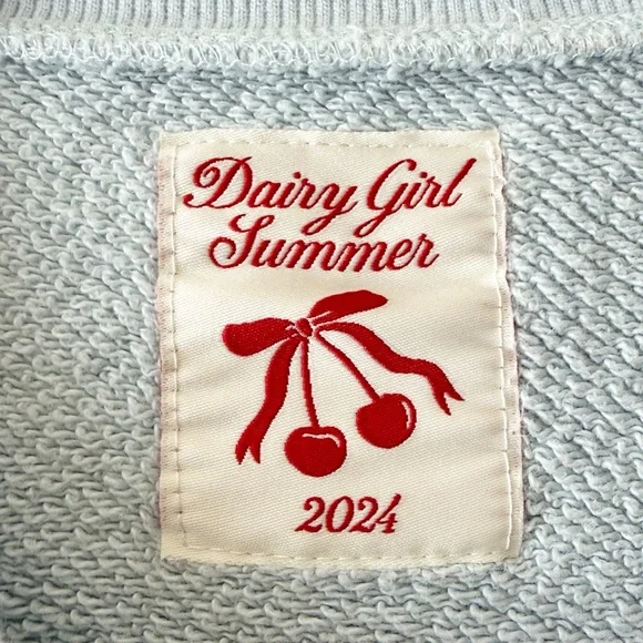 Dairy Boy “Dairy Girl Summer” Oversized Varsity Crewneck Pullover - Picture 13 of 14
